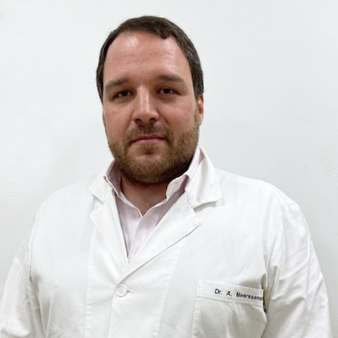 Dott. Alexander Meersseman