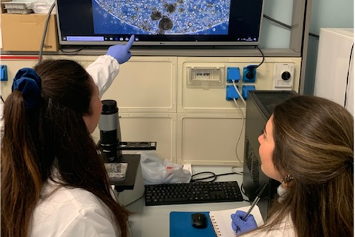 Visione al microscopio, da parte di due tecnici di laboratorio, di alcuni campioni organici